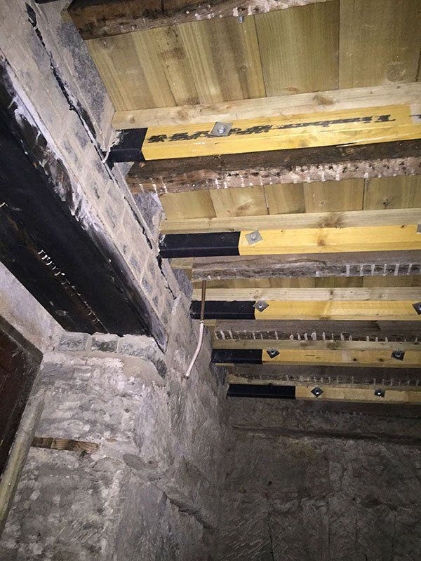 wet rot