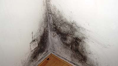condensation control