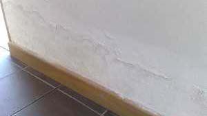 rising damp