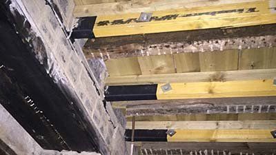 wet rot