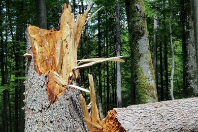 storm damage house