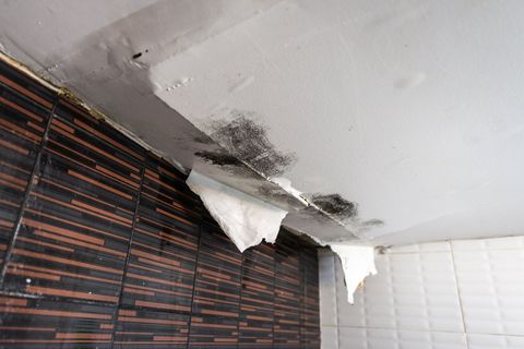 Water Damage — Man Fixing a Water Pipe in New Castle County, DE