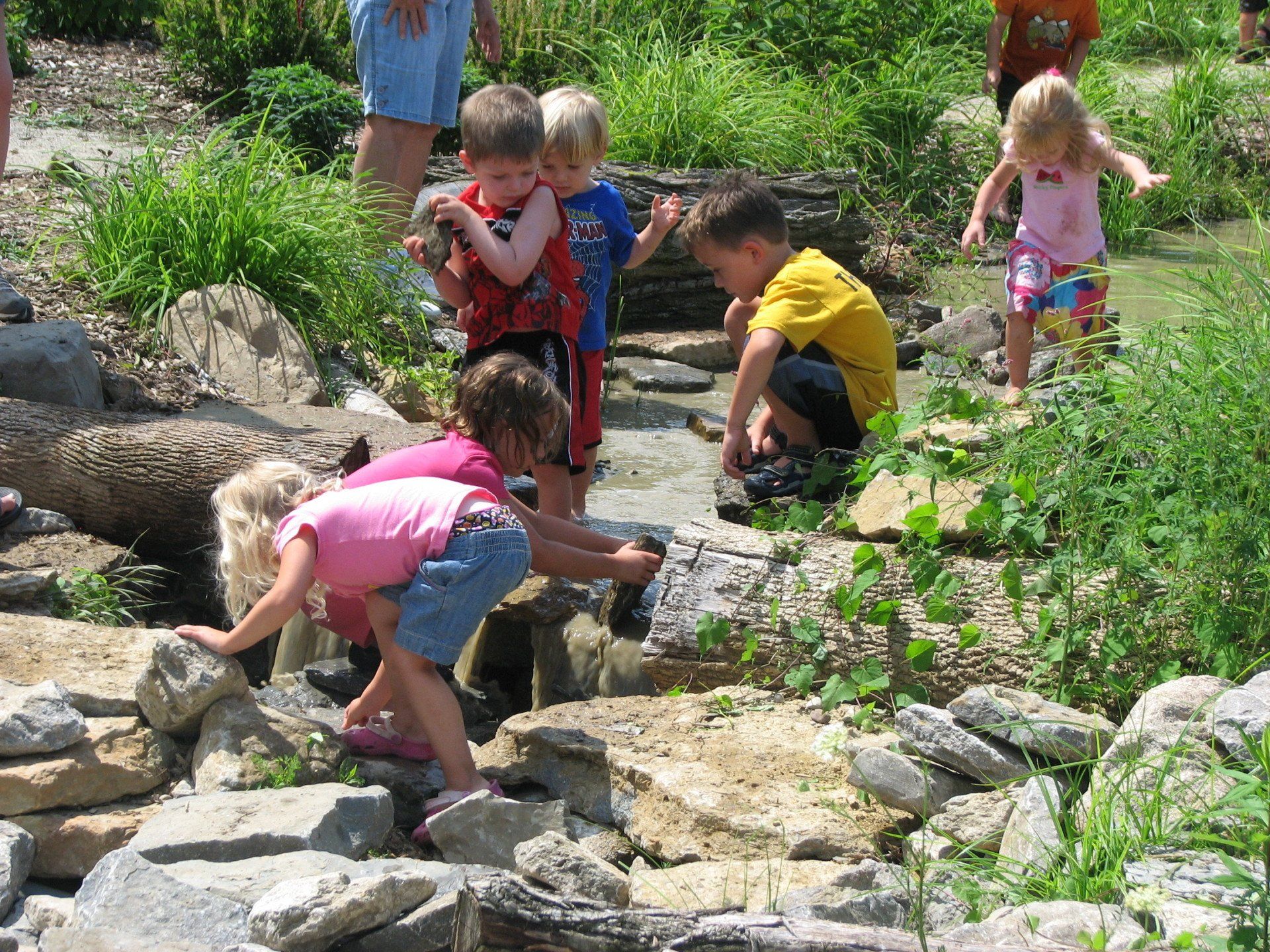 Cincinnati Nature Center - natural playscape
