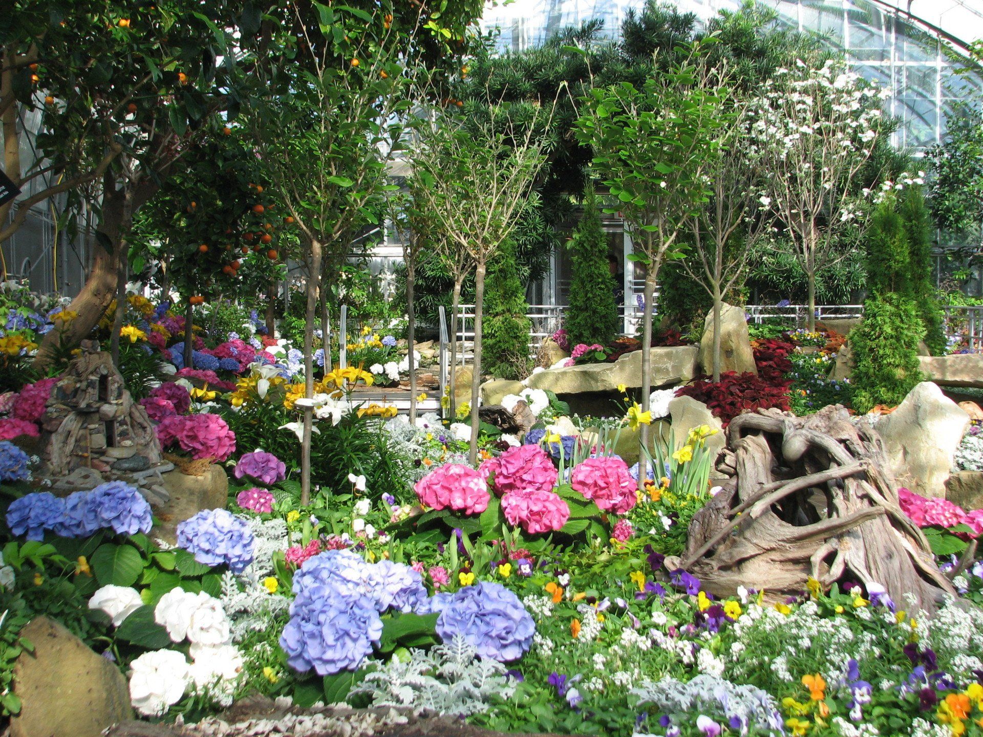 Krohn Conservatory - Enchanted Forest with stone, water + plants