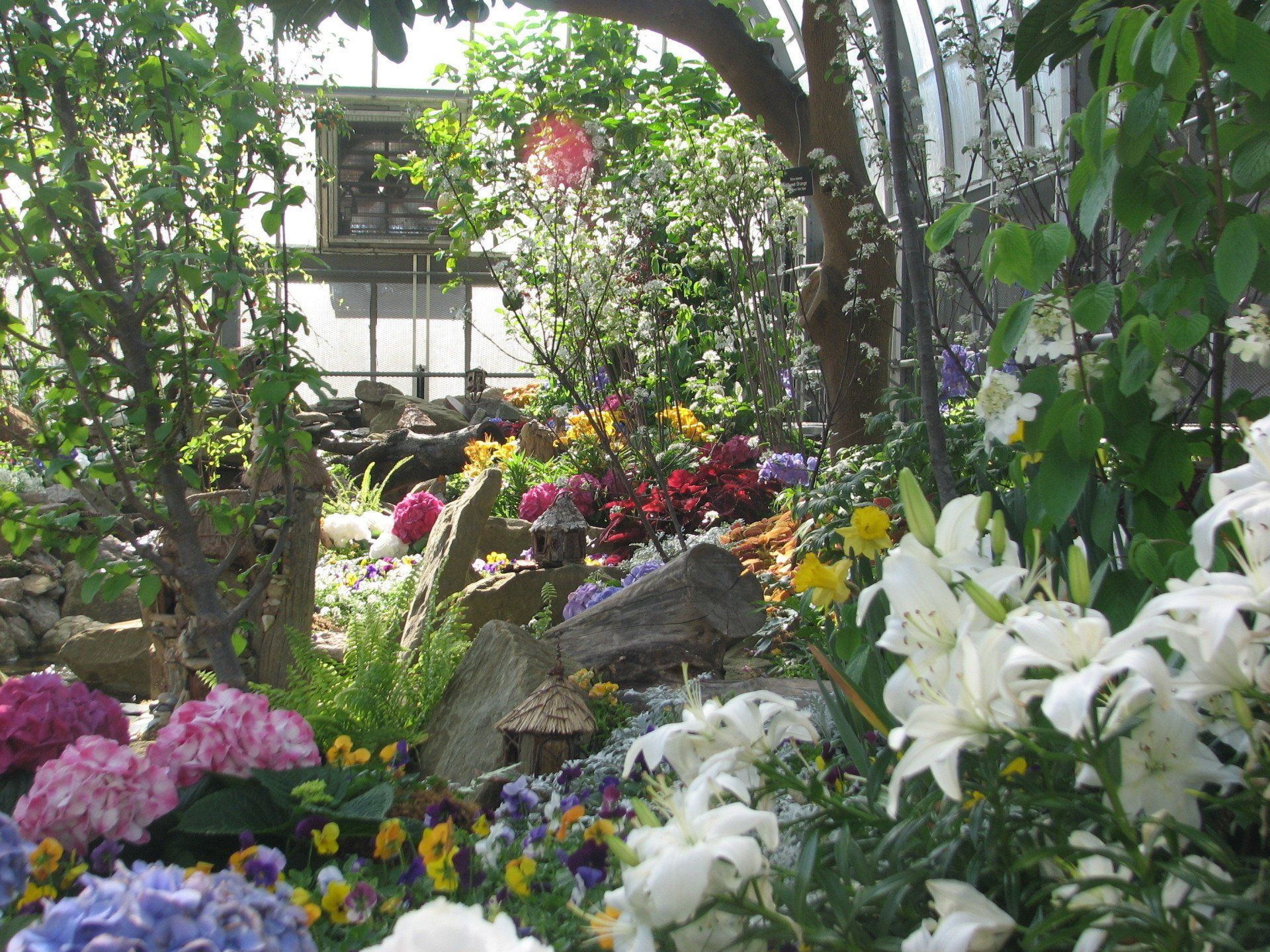 Krohn Conservatory - Enchanted Forest with stone, water + plants