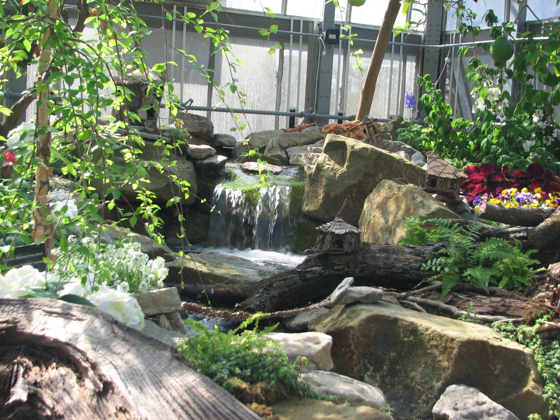 Krohn Conservatory - Enchanted Forest with stone, water + plants