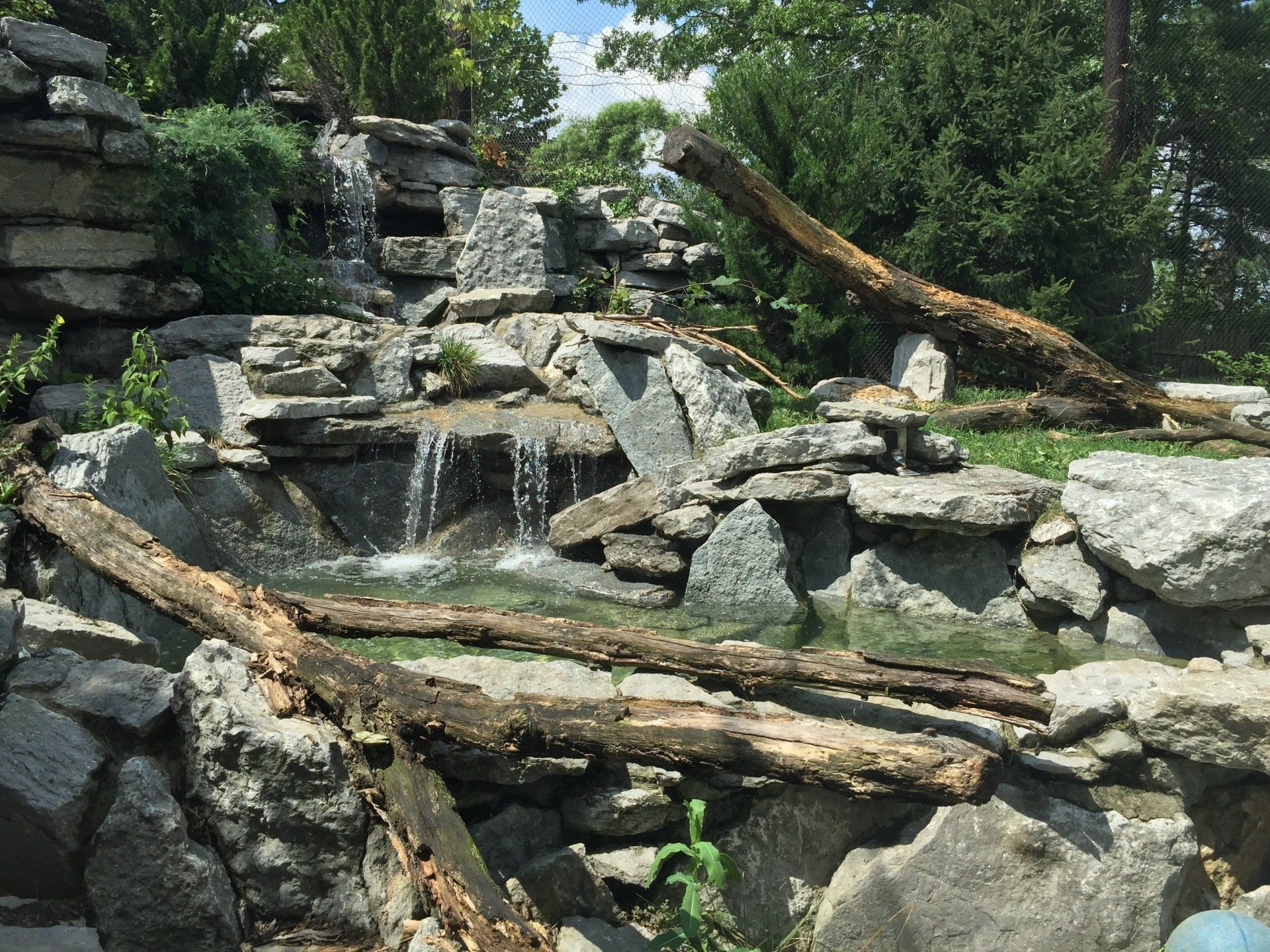 Cincinnati Zoo cougar habitat