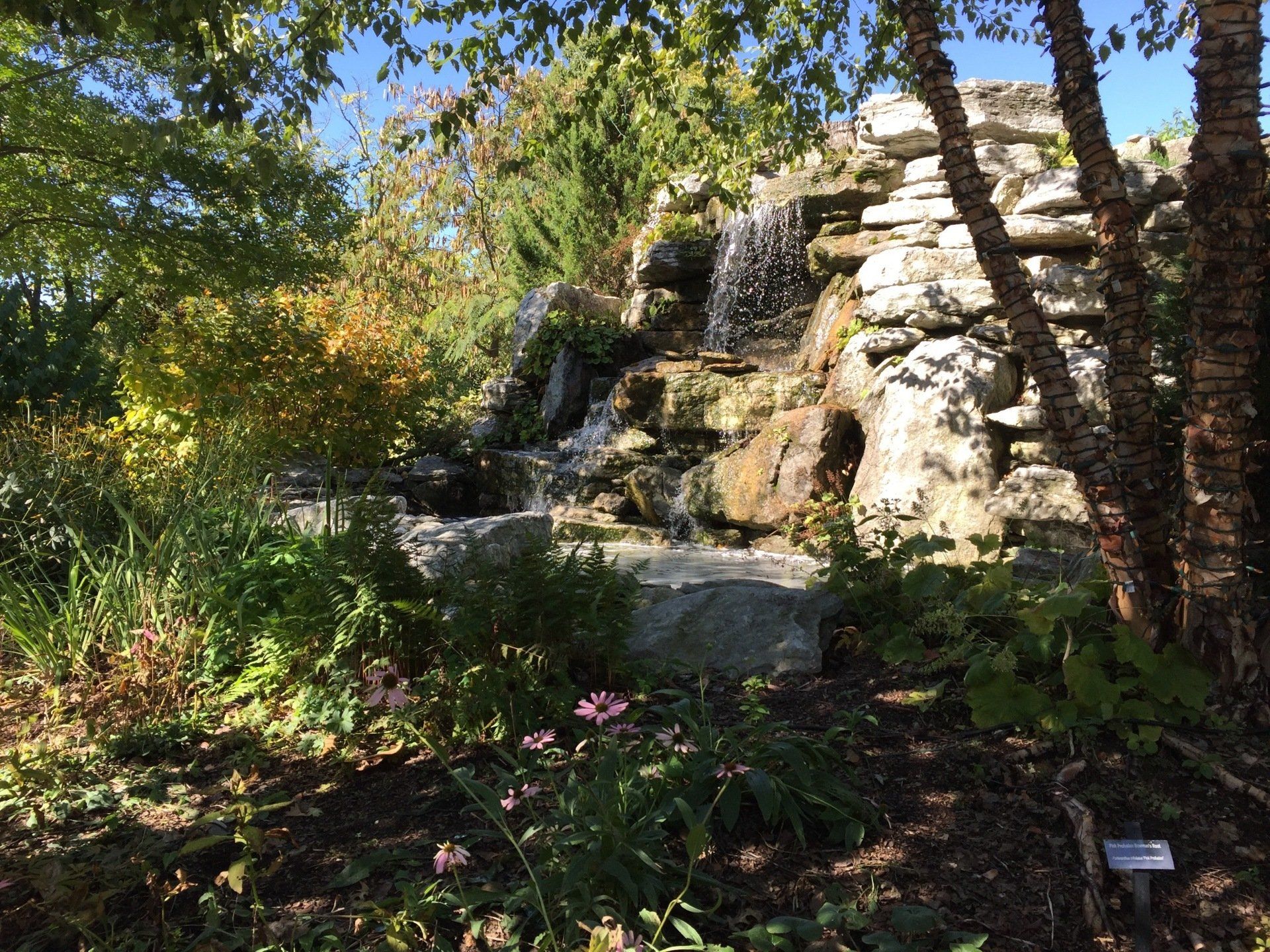 Cincinnati Zoo waterfall