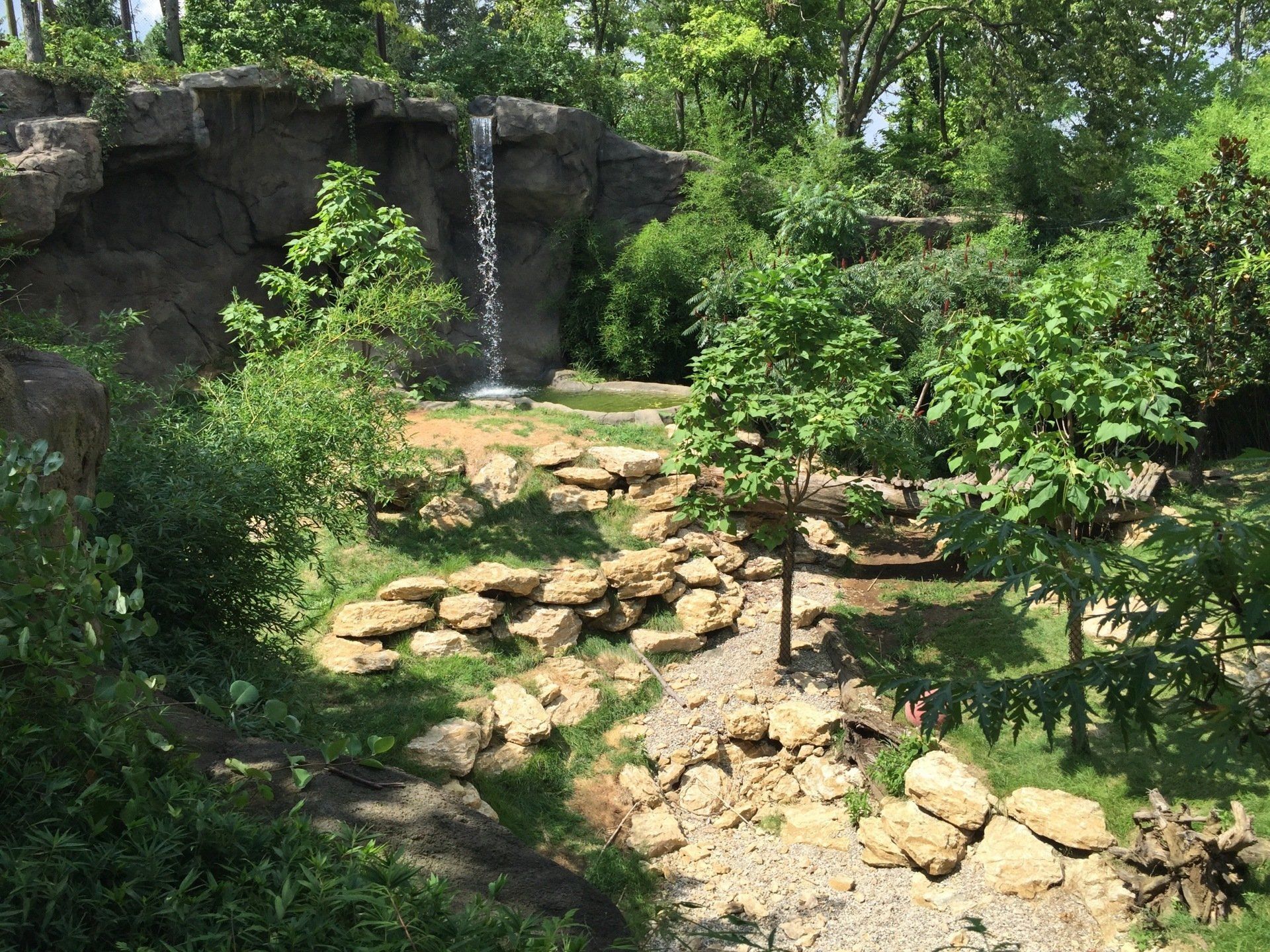 Cincinnati Zoo white tiger habitat