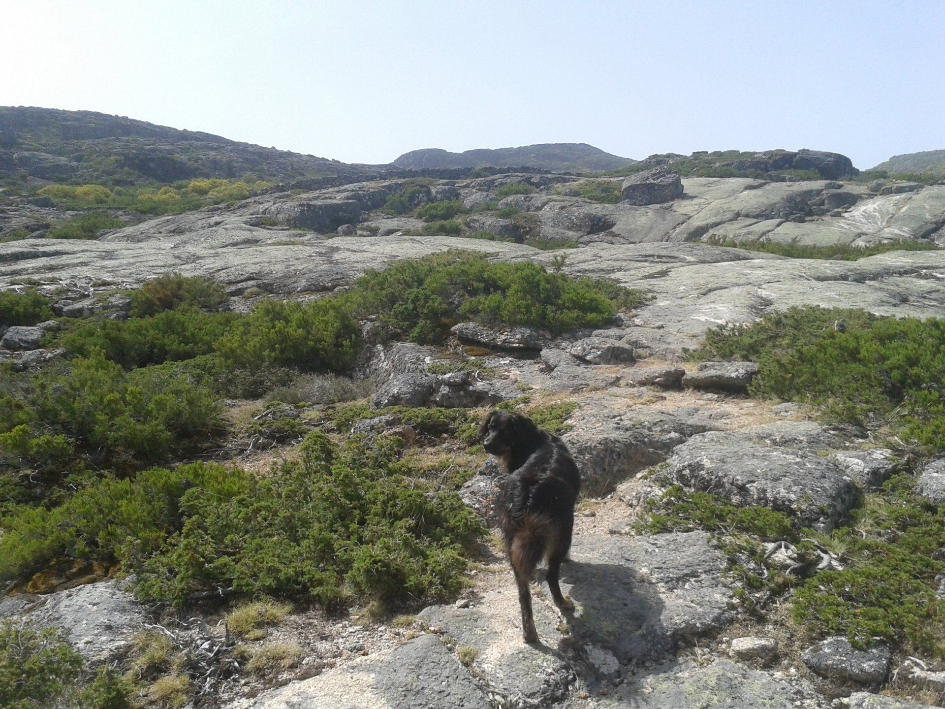 Een hond uitlaten op een rotsachtige berg. De Serra Estrela.