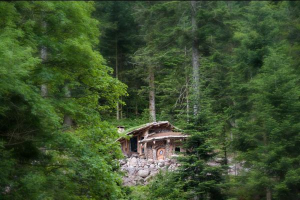 Rustieke hut verscholen tussen dichte groene bosbomen en rotsen.