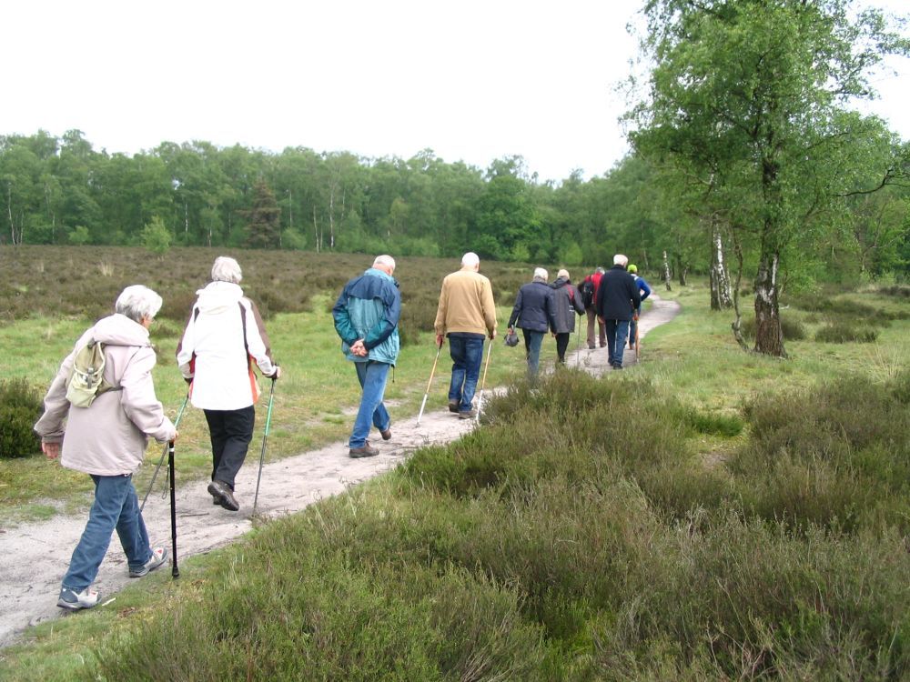 ouderen wandeling