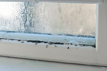 Moisture Damage Repairs - Sir Fix It in Hampton, VA