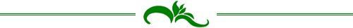 divider greenfingers indoor plant hire divider