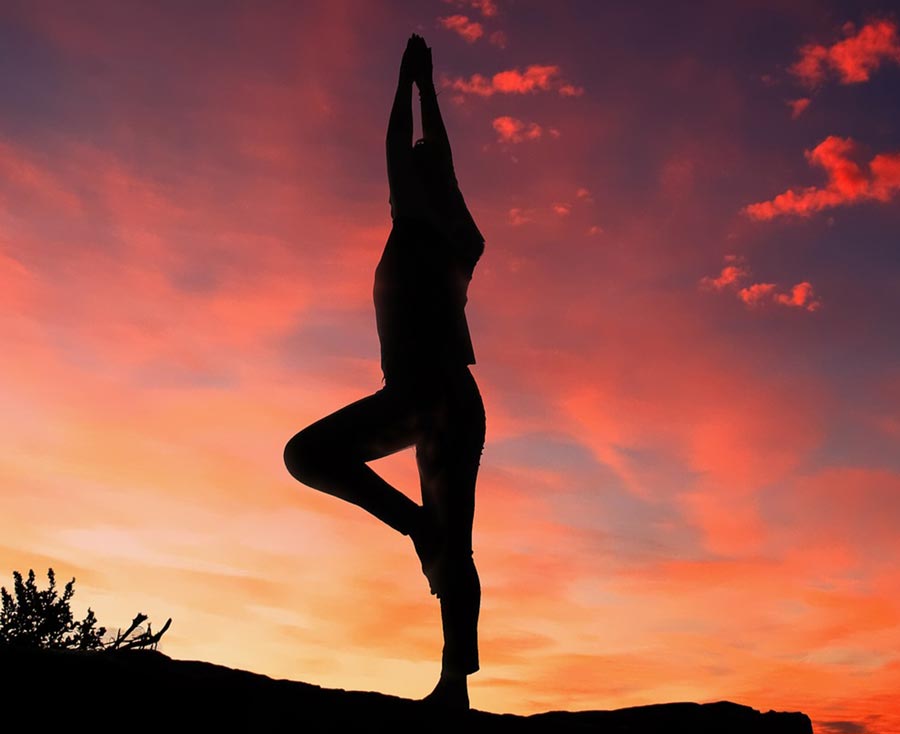 Staying active is essential for a healthy body and a healthy website.