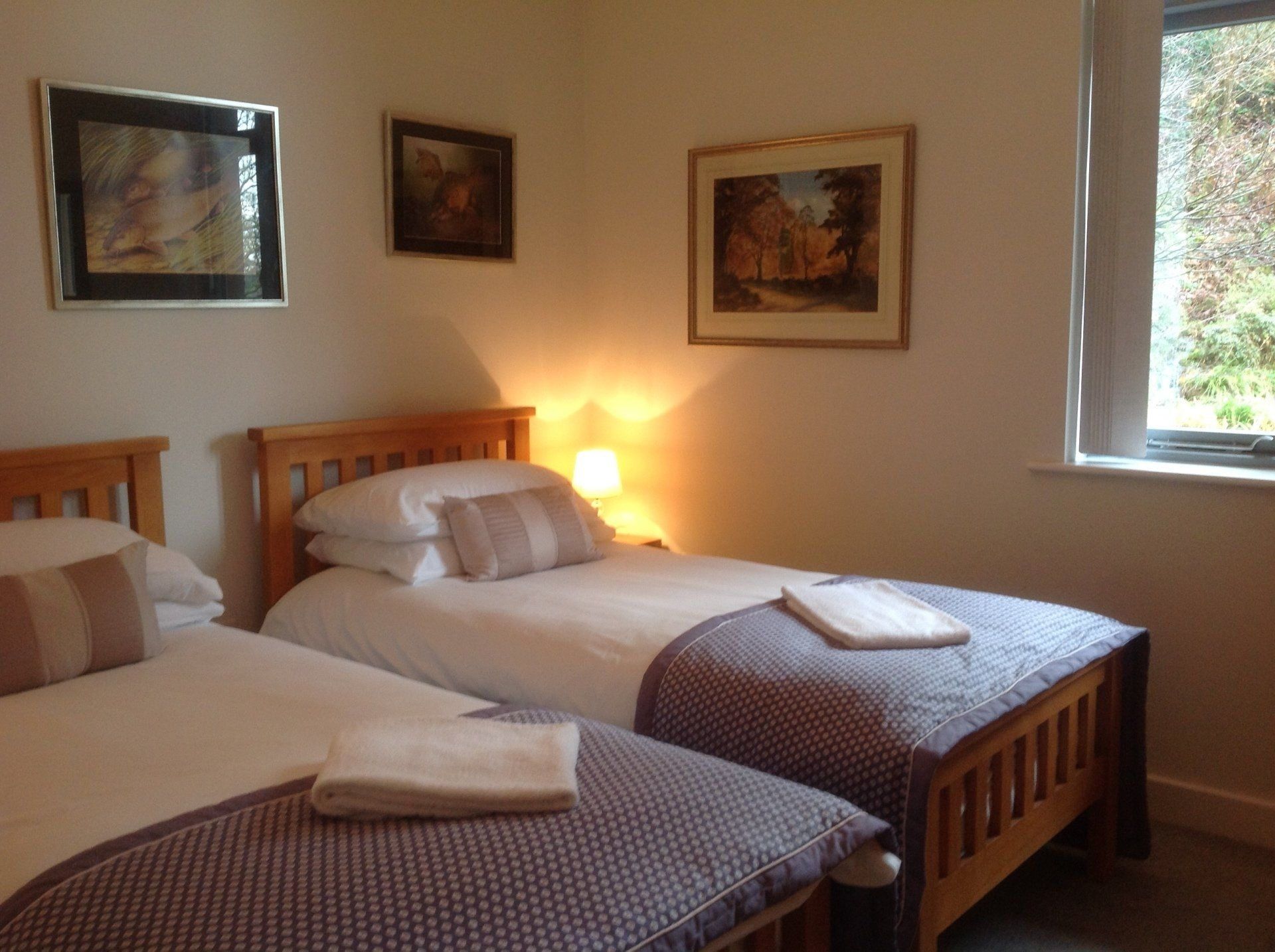 Twin bedroom with angling picture on the wall in Riverside Lodge
