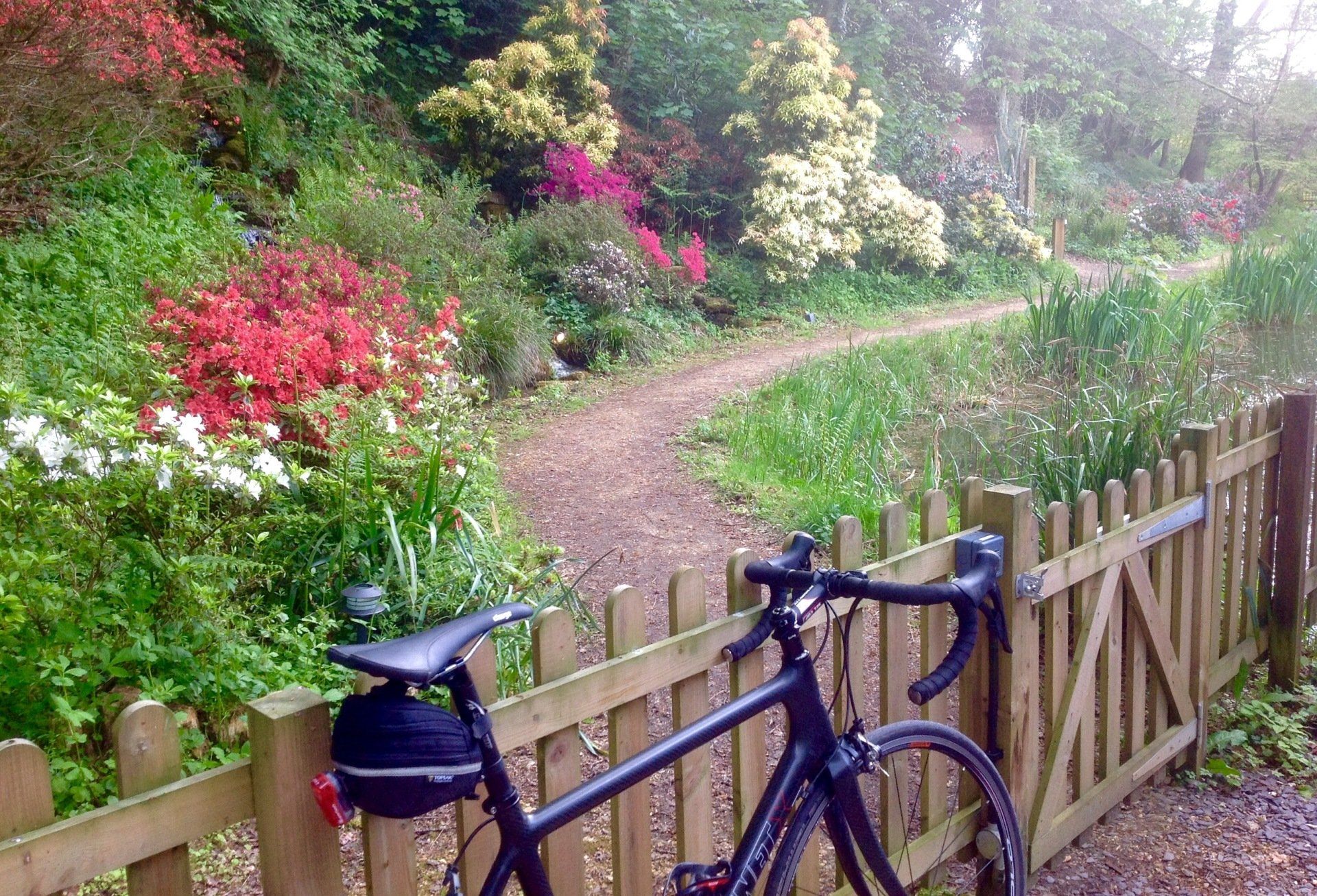 a bicycle is propped up against a gatein a woodland setting ready for the cyclist