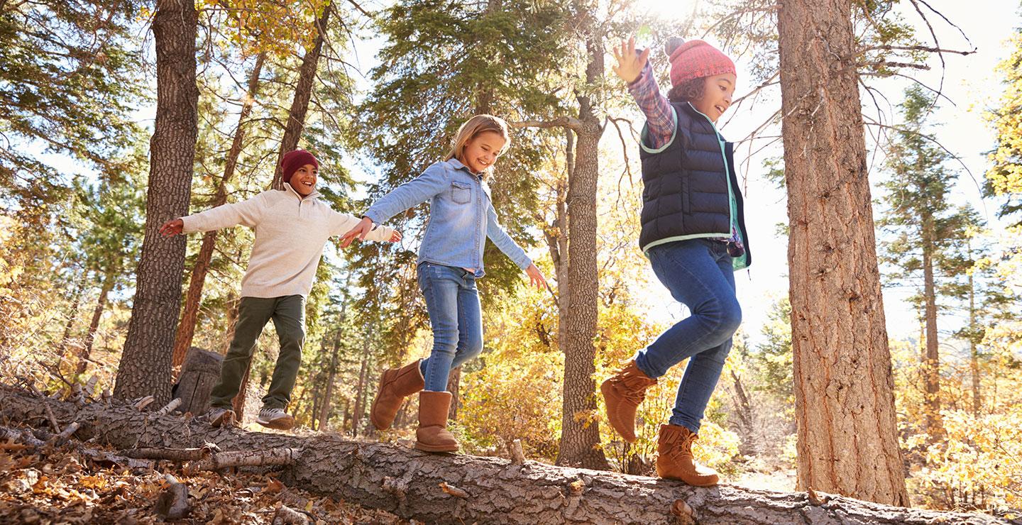 Children walking carefully along a forest trail in autumn sunlight, holding onto trees and each other.
