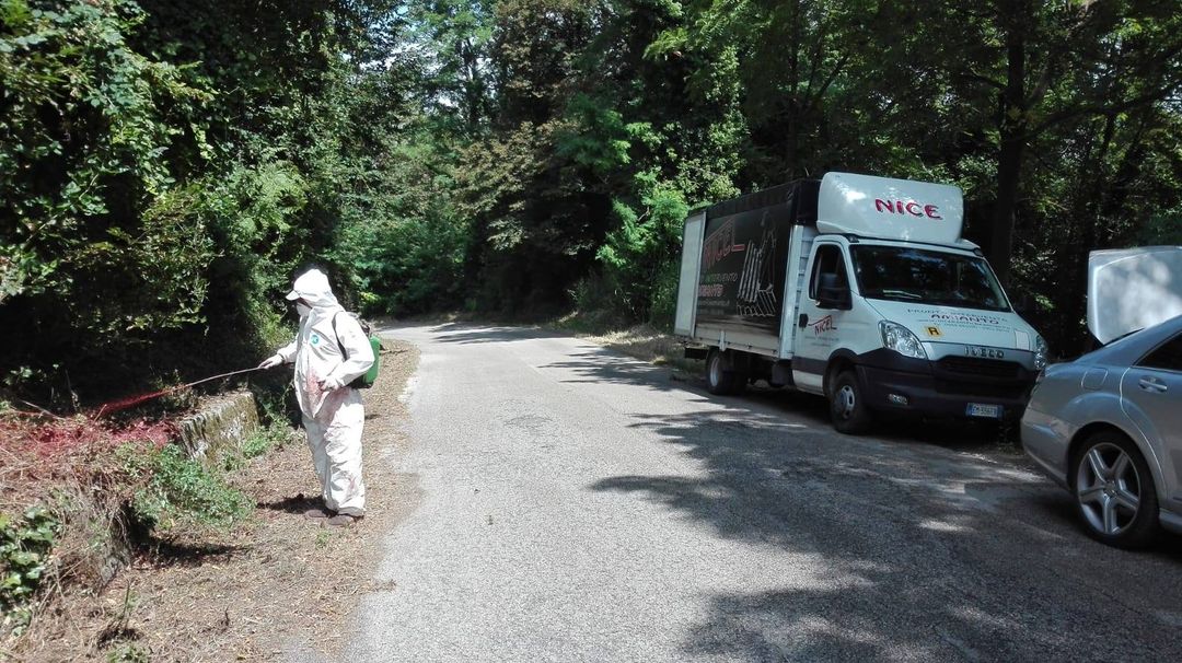 rimozione dell'amianto