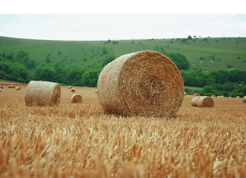 agricultural services - Mid Glamorgan - P Edwards & Co - harvesting agriculture bale field wheat crop agricultural services - Mid Glamorgan - P Edwards & Co - harvesting agriculture bale field wheat crop