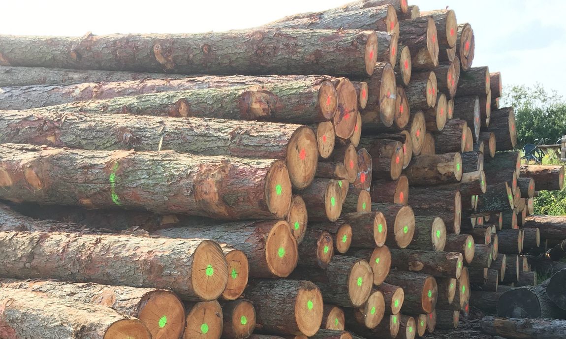Logs