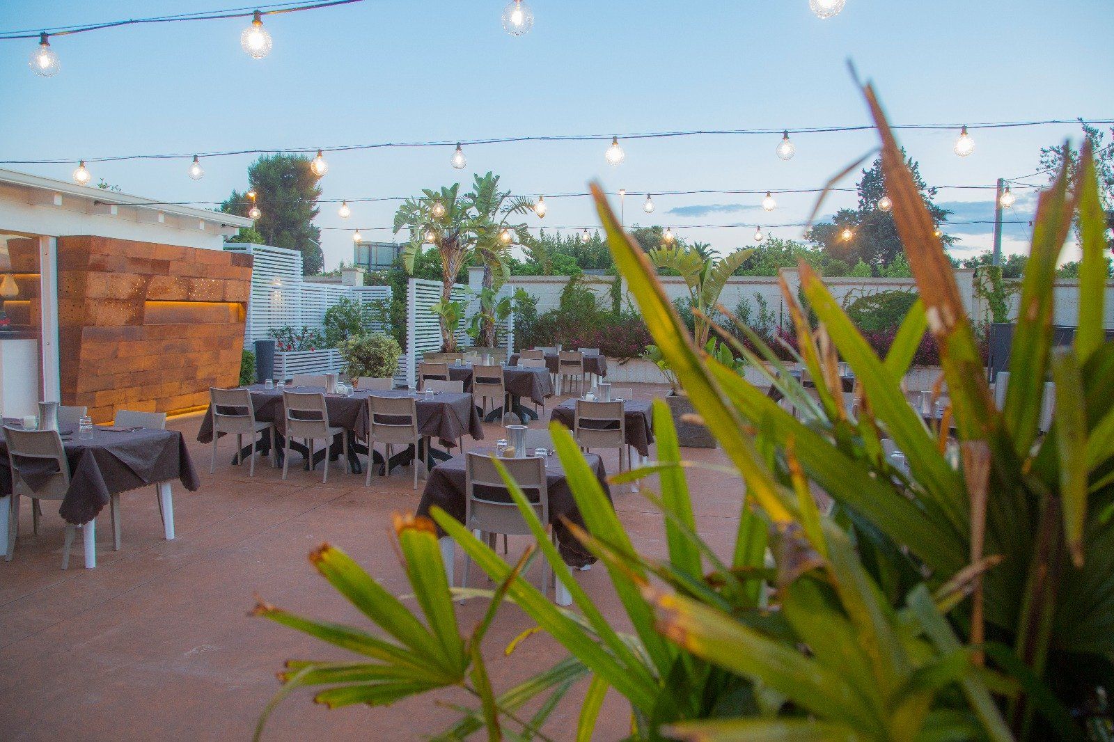 coperti di ristorante 2