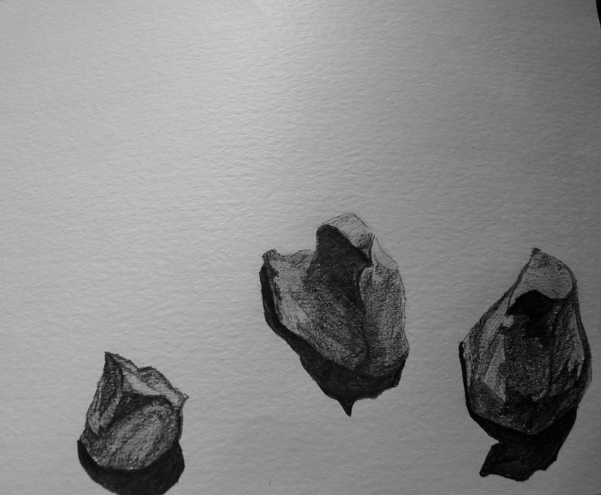 Drawing, Sketch