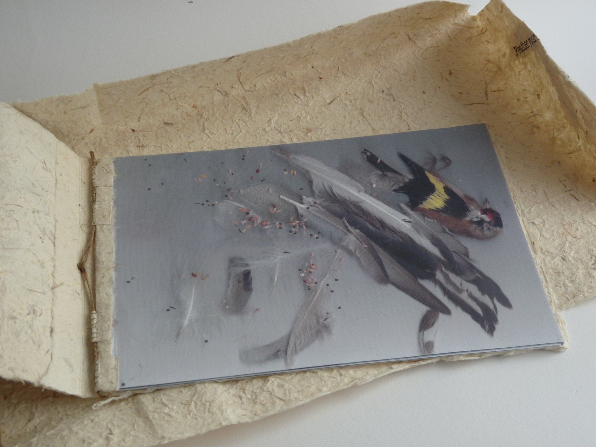Artist Print Book