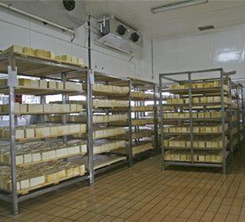 cold store installations
