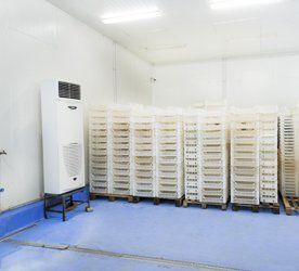 Cold store maintenance