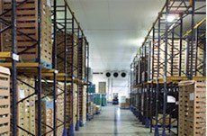 Cold store services