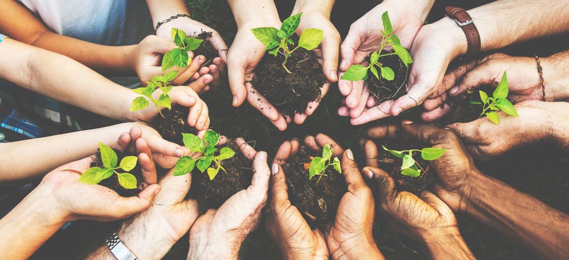 Group of environmental conservation people hands planting in aerial view