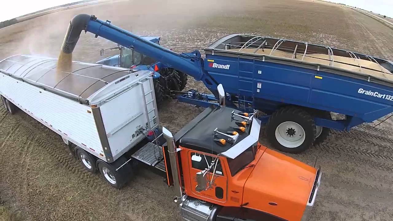 Bradt Chaser Bin