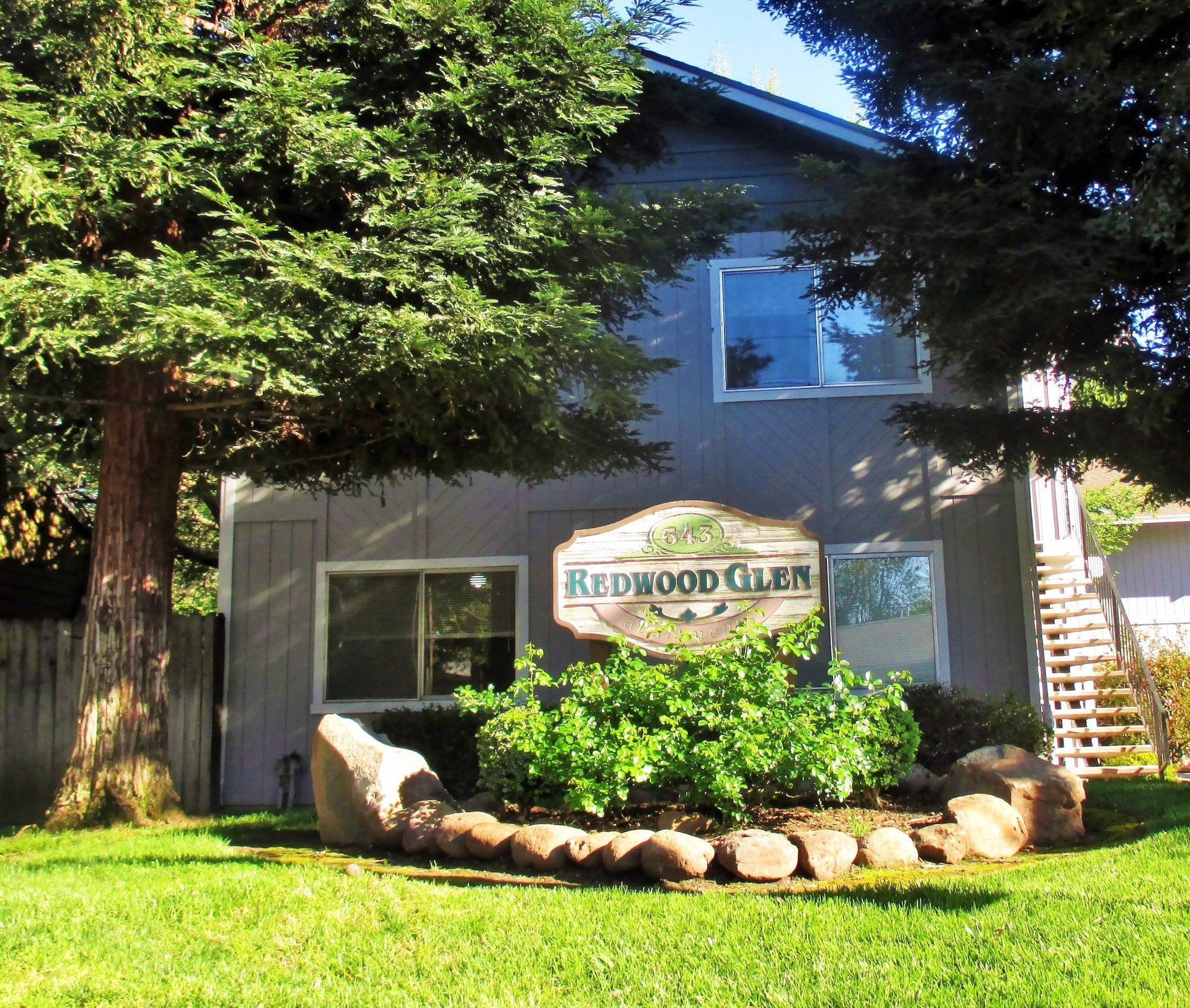 Redwood Glen