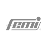 logo Femi