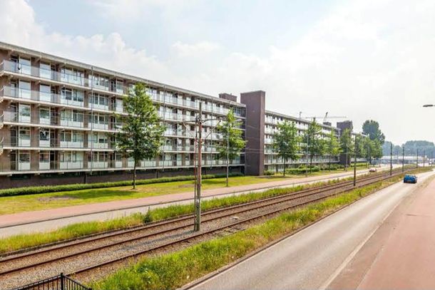 view of horizontal building and road