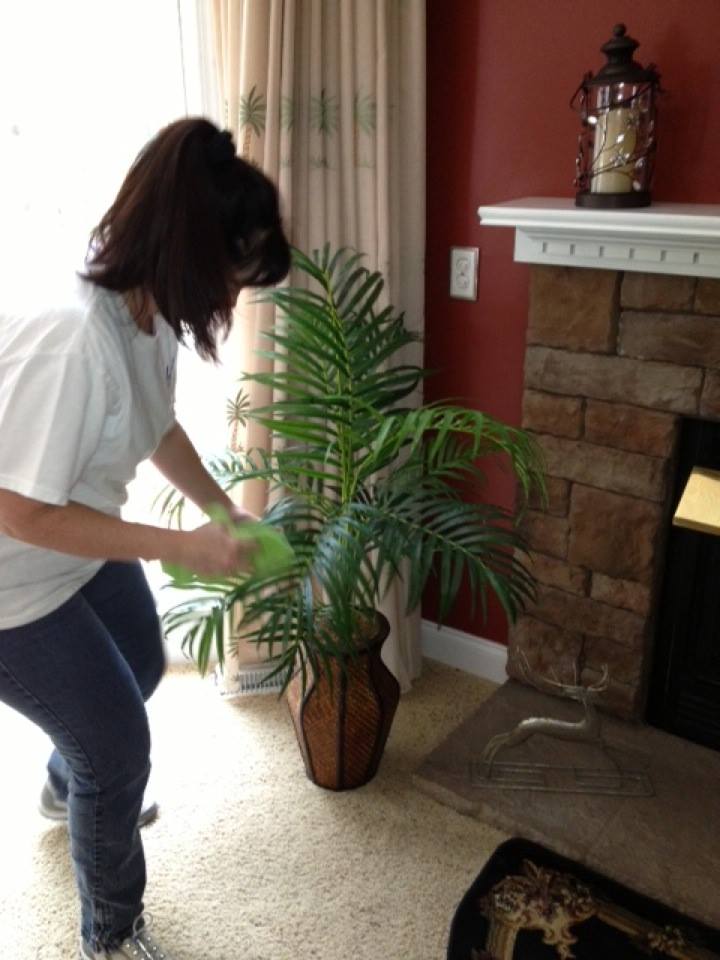 House Cleaning Services – Newport, NC – Ladies Touch Of Carteret