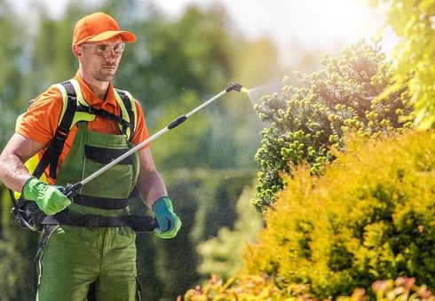 Garden Maintenance — Wilmington, NC — Coastal Exterminating