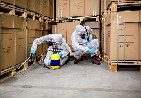 Termite Control on Warehouse — Wilmington, NC — Coastal Exterminating Termite Control on Warehouse — Wilmington, NC — Coastal Exterminating
