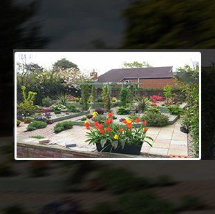 outdoor garden