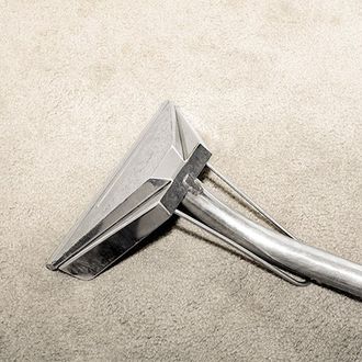 steaming carpet