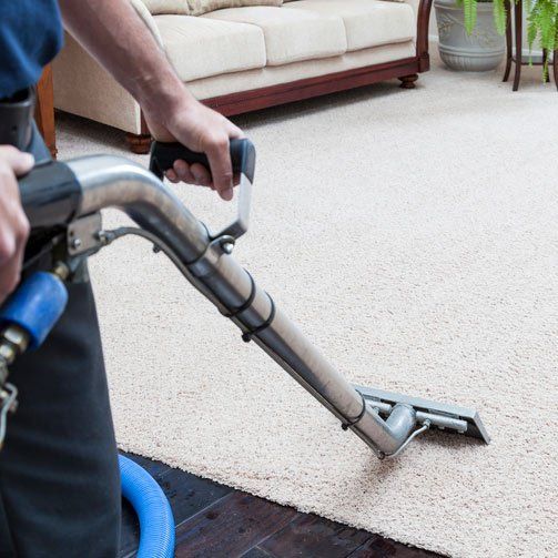 carpet steam cleaning