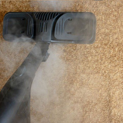 carpet being steam cleaned