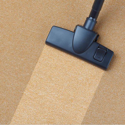 carpet being vacuumed