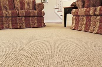 carpet cleaning