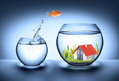 Fish Bowl