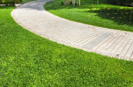 garden pathway