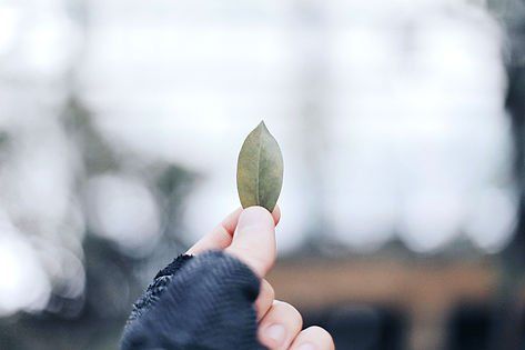 Homeopathy is NOT new. This concept has been known since Hippocrates in 450 BCE, and was later undertaken by  a German allopathic physician, Dr. Samuel Hahnemann in the 18th century, who officially coined the term and spread the practice.