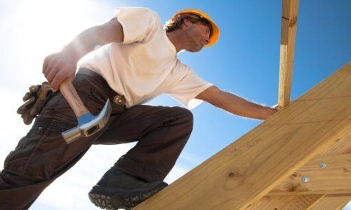 roofing expert