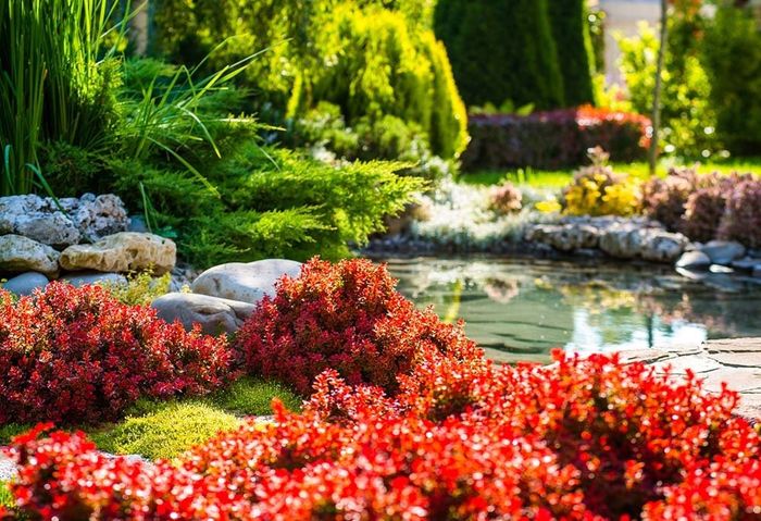 Beautiful Plants and Flowers — Dayton, TX — Precision Lawns Beautiful Plants and Flowers — Dayton, TX — Precision Lawns